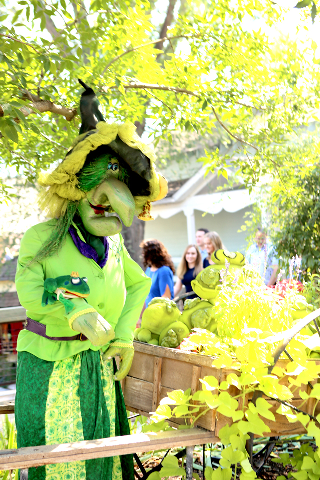 fall activities in Salt Lake area