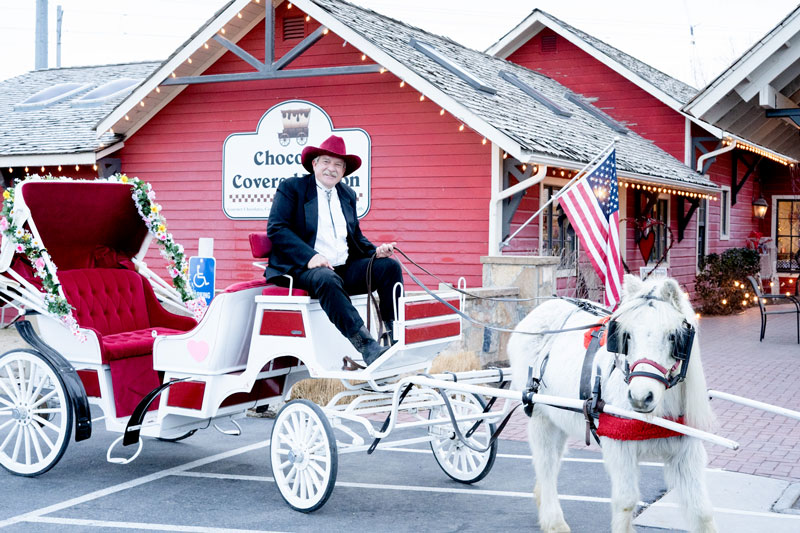 The Farm Carriage Ride