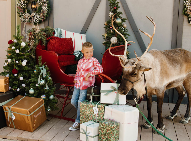 Photo with Santa's reindeer