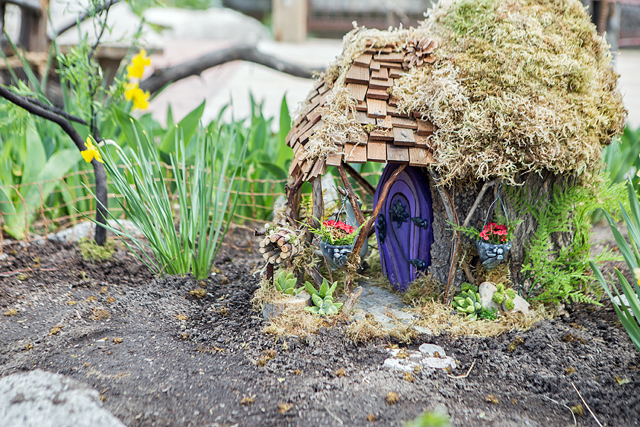 diy fairy garden