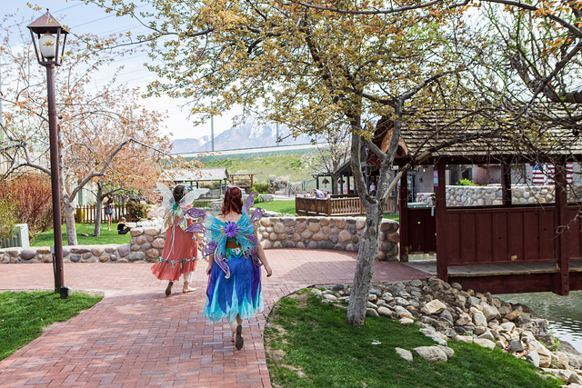 the woodland fairy festival