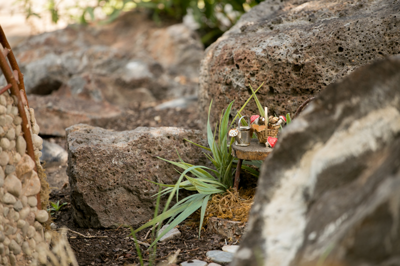 fairy garden display ideas