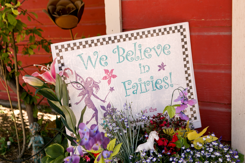 Chocolate Covered Wagon