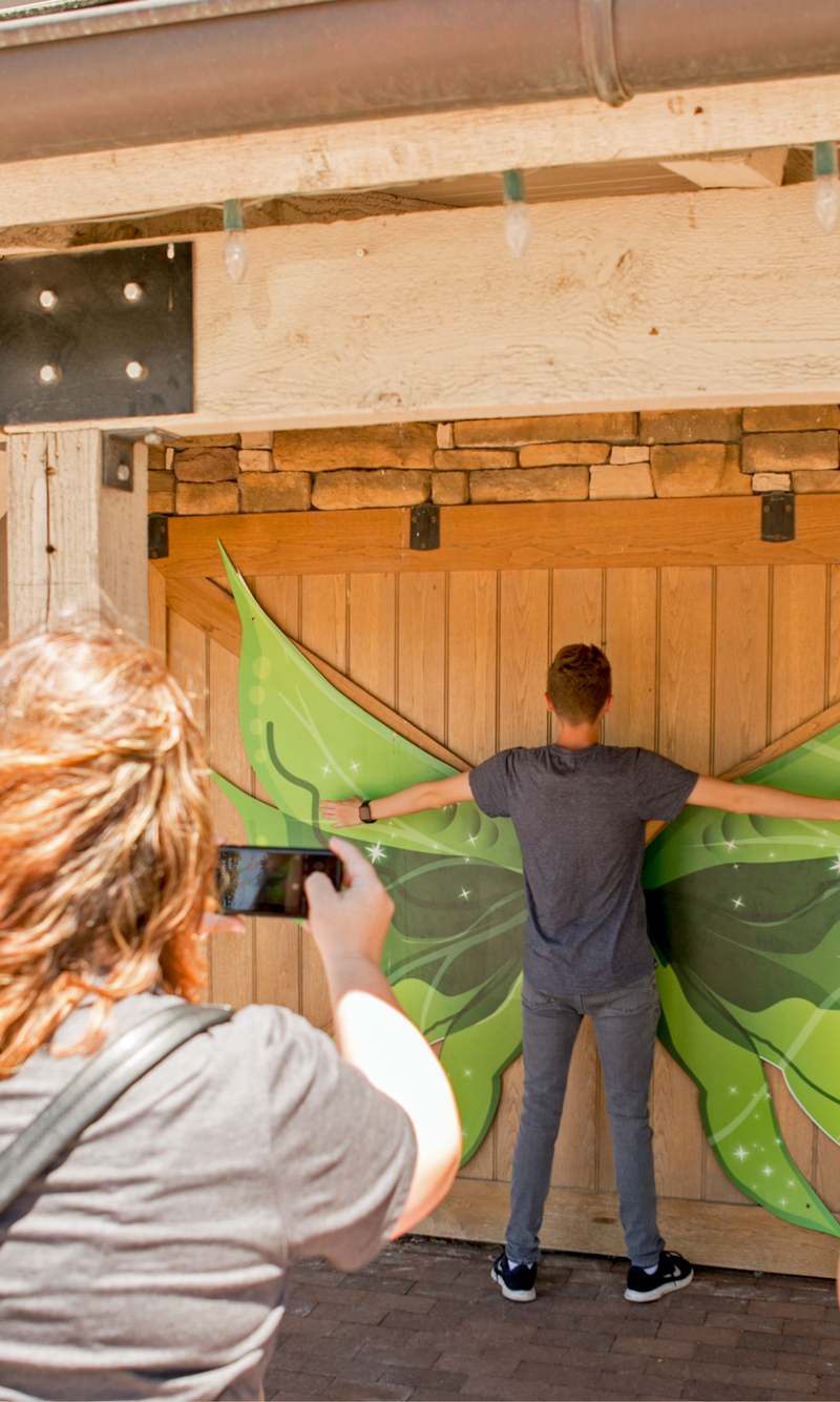 fairy wing photo ops