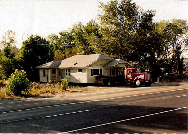 original plum dandy shop