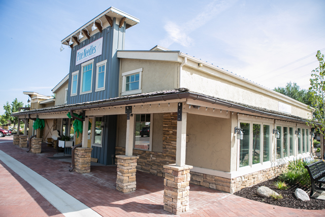 pine needles at gardner village