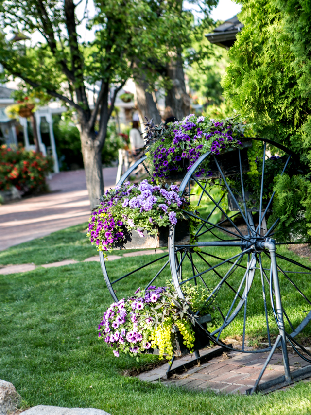 flower garden pointers