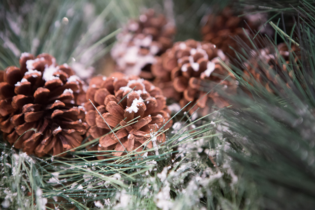 holiday greenery classes