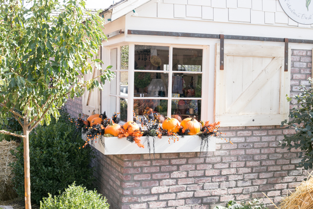 Outdoor autumn decorating