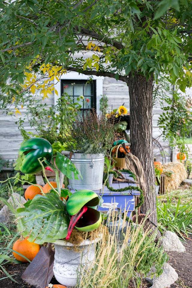 Salt Lake area outings for families