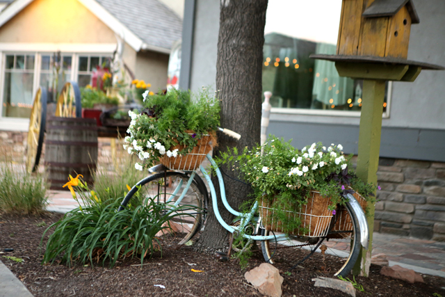 unexpected garden display