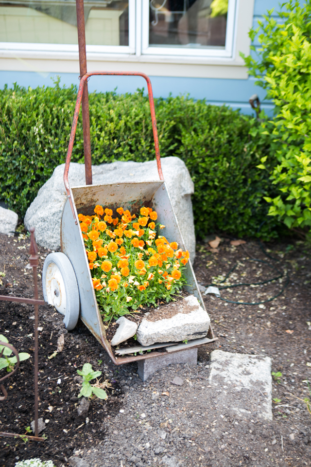 garden display ideas