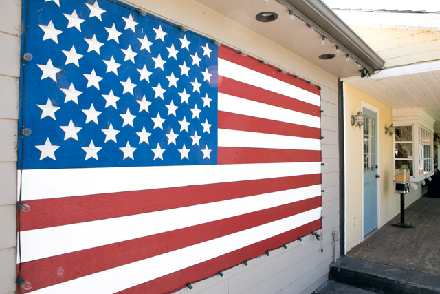 American flag backdrop