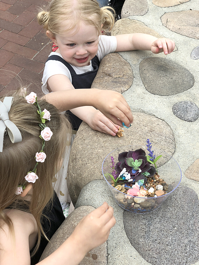make a fairy garden
