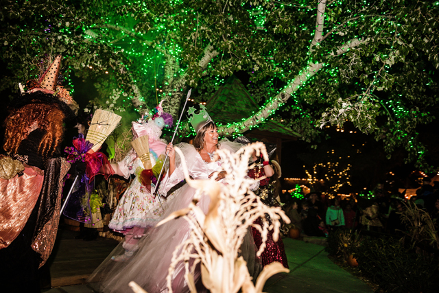 glenda the good witch