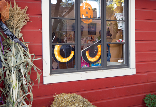 chocolate covered wagon candy store