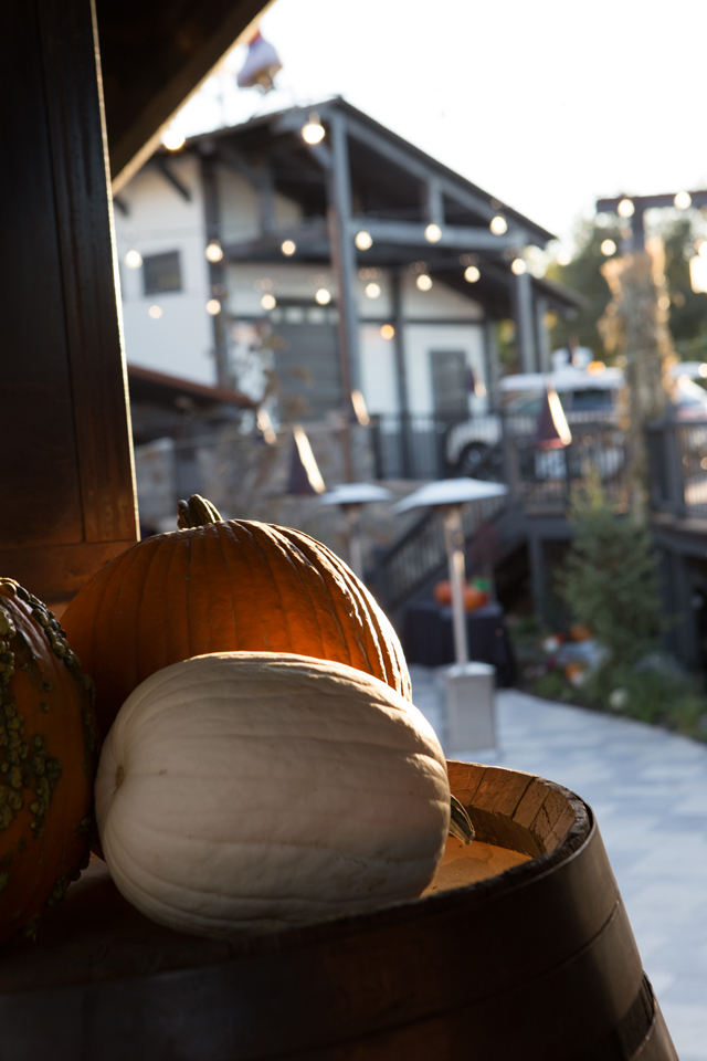 Mill Plaza at archibalds restaurant 