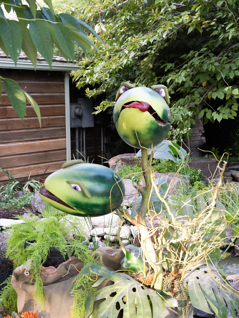 cute halloween decorating ideas