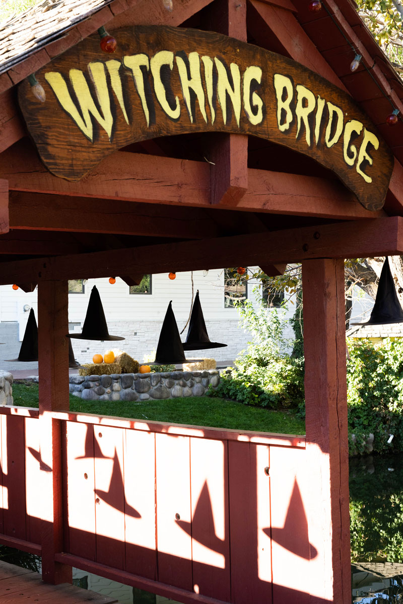 best fall photo ops in utah