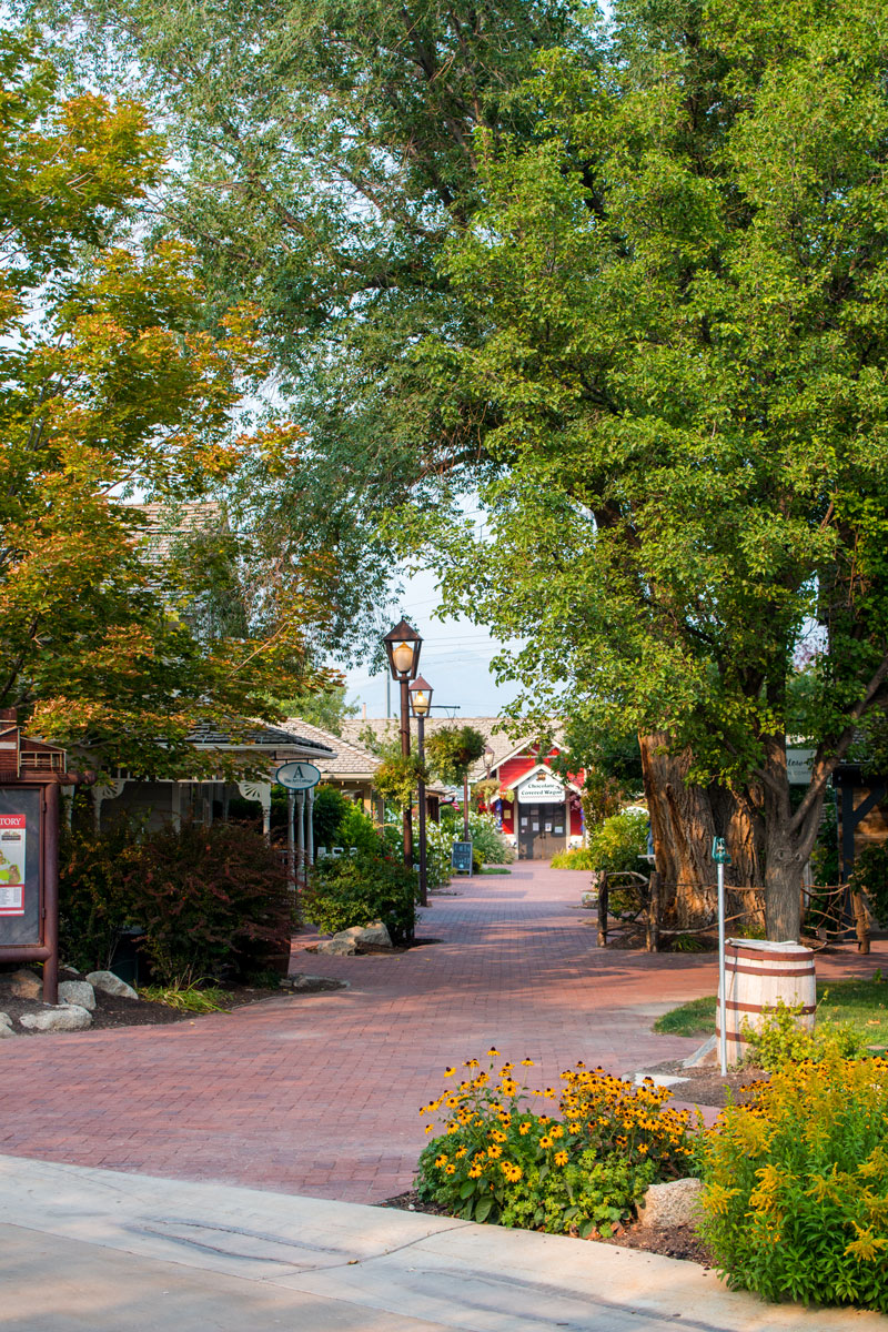 Chocolate Covered Wagon
