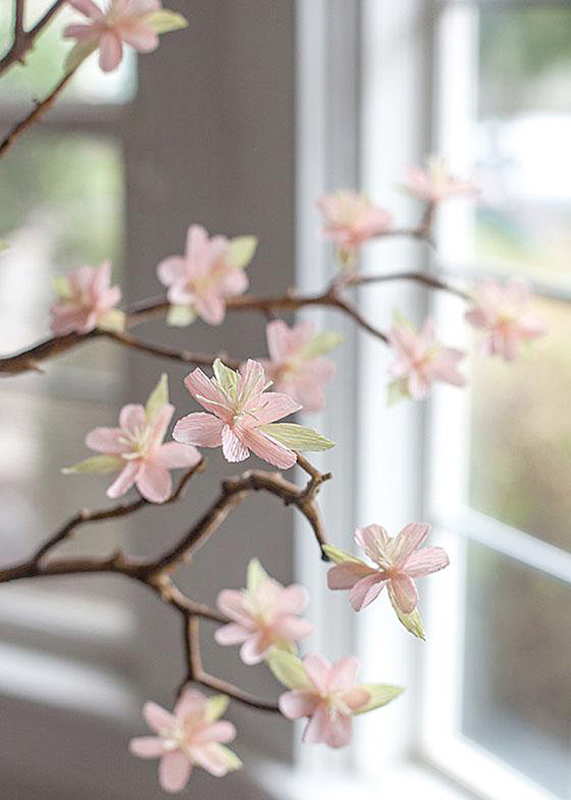 paper cherry blossoms how to