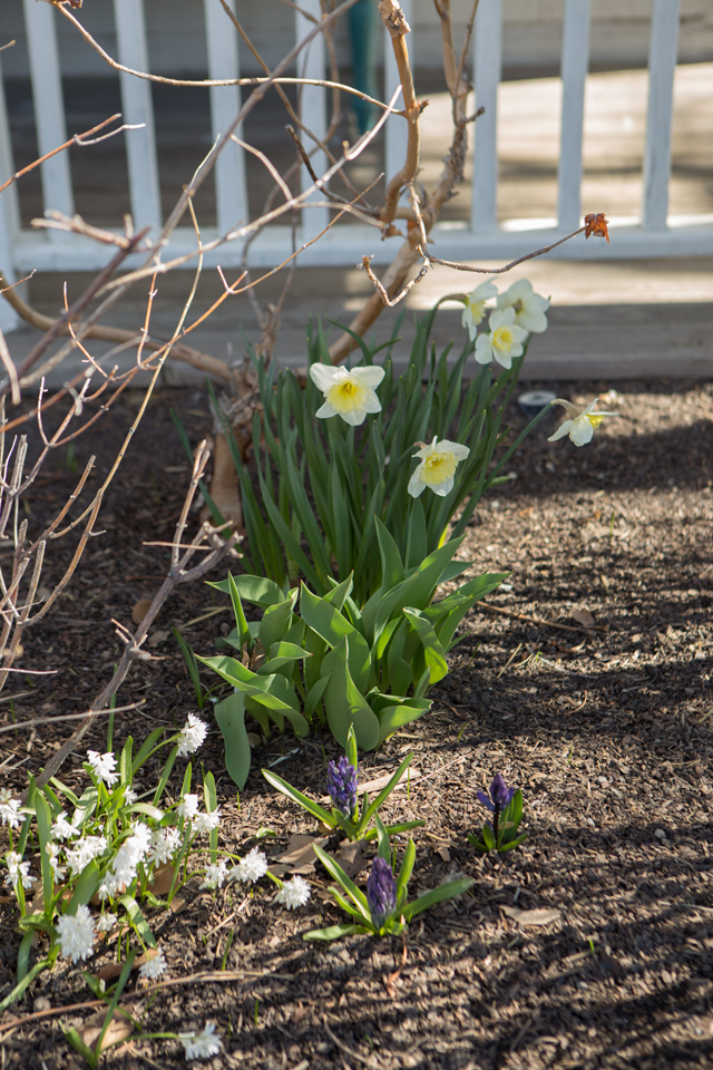 spring gardens in utah