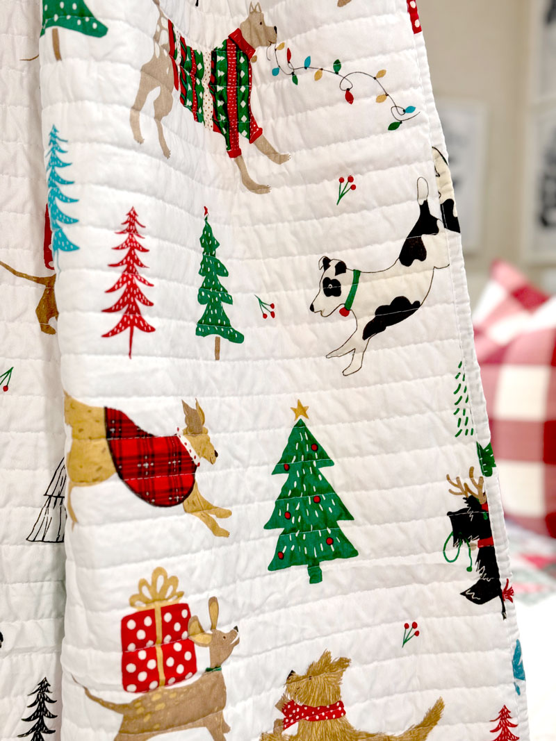 dog quilt winter