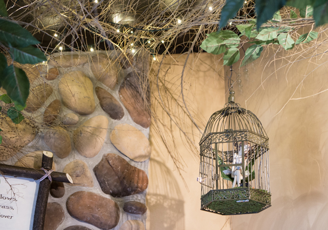 a great fairy escape