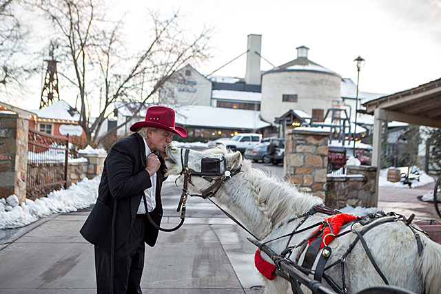 the farm animal rescue