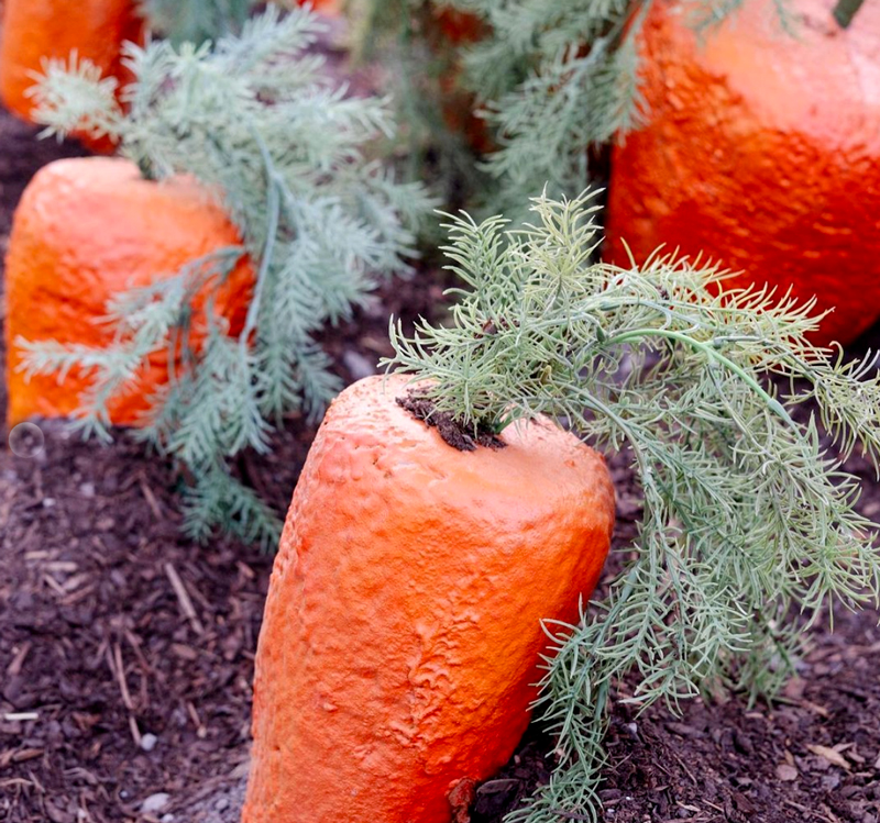 diy carrot decorations for the yard